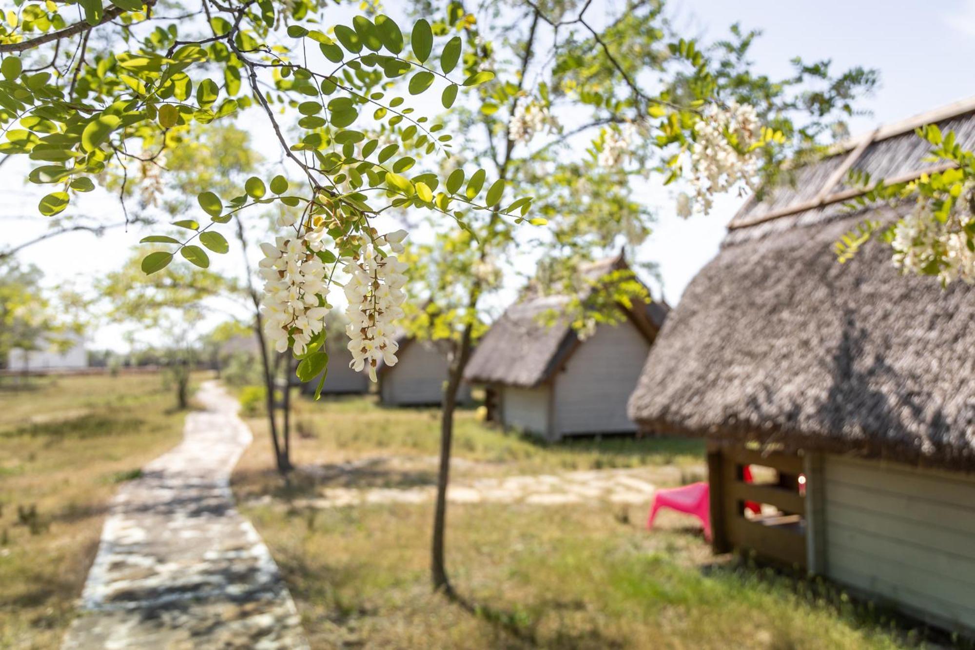 Dolphin Camping Sfantu Gheorghe  Luaran gambar